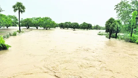 ఉప్పొ