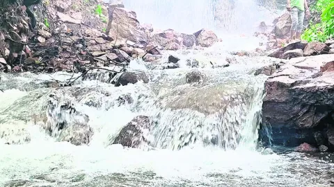 అలరిస