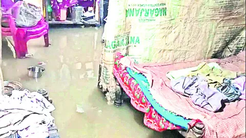 జనజీవ