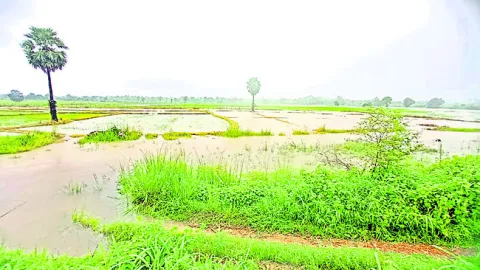 నీటము