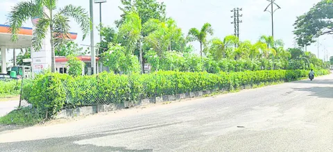  ఇక్కడ కాస్త నయం..
