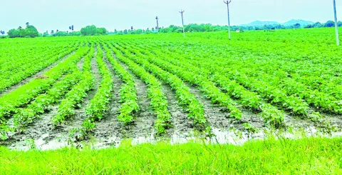 వర్షం