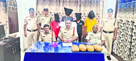 గంజాయ