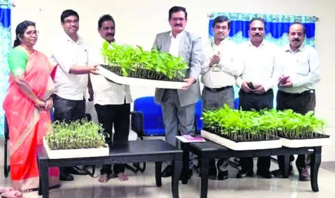 రైతులకు నాణ్యమైన నారు 