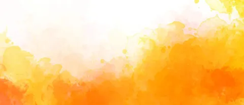 మచ్చ 