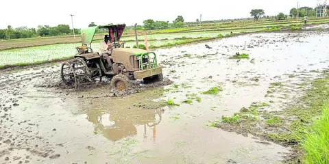 కురిస