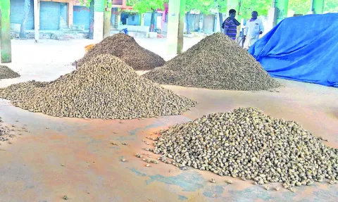 లక్ష్