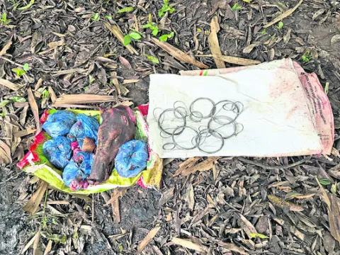 అడవిపంది మాంసం స్వాధీనం