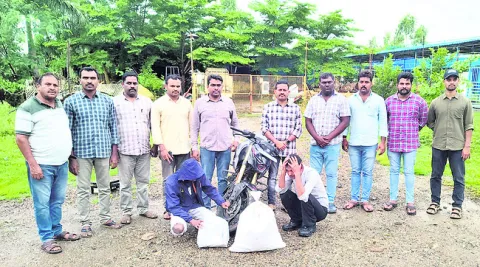 గంజాయి సీజ్‌