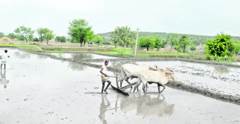 రైతుల్లో చిగురించిన ఆశలు