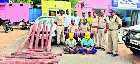 ఇద్దరు ఎర్రచందనం దొంగల అరెస్ట్‌ 