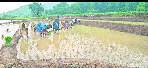 ఊపందు