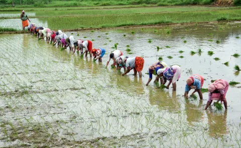 Indian farmers are poised for a major boost with India UK FTA
