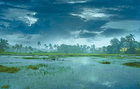 Heavy rains in North Andhra and moderate rains in South Coastal and Seema districts