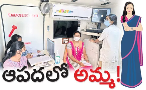 ఎంఎస్