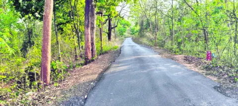 హ్యామ్‌తో మహర్దశ