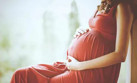 pregnant wife dies in bangalore