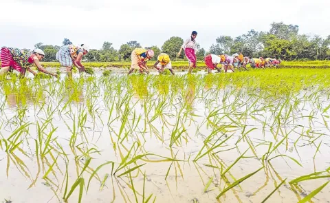 IMD Issues 2 Days Rain Alert In Telangana