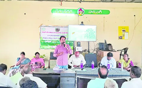 ఆయిల్‌పామ్‌తో అధిక ఆదాయం