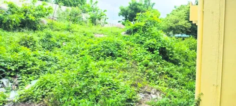 ప్రభు