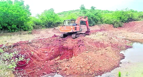 చెలరేగిపోతున్న తమ్ముళ్లు 