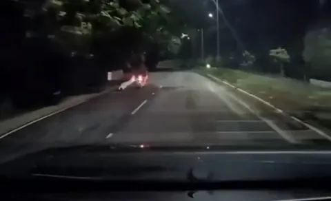 Leopard Try To Attack Bikers Tirumala Viral Video News