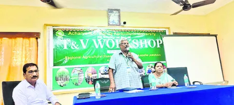 రానున్న 15 రోజులు వరినాట్లకు కీలకం 