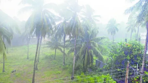 వరద..