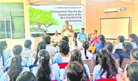ఆరోగ్యవంతం.. కోరంగి మడ అటవీ ప్రాంతం 