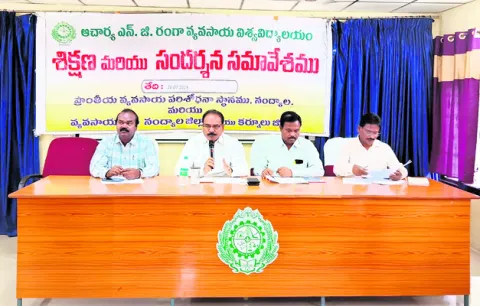 గులాబీ రంగు పురుగు ఉద్ధృతిని నివారించాలి 