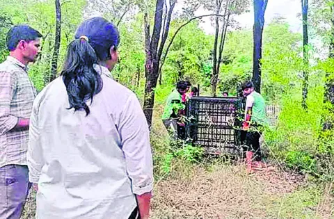 జనవాస