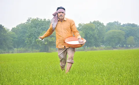 Rationing system in urea supply
