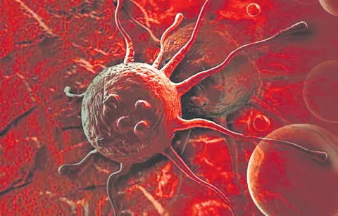 14 day care cancer centers in AP