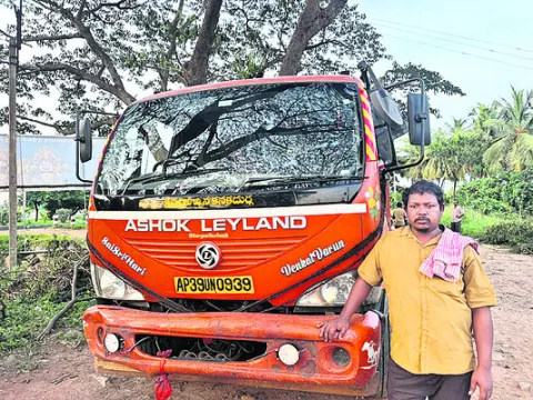 చికెన