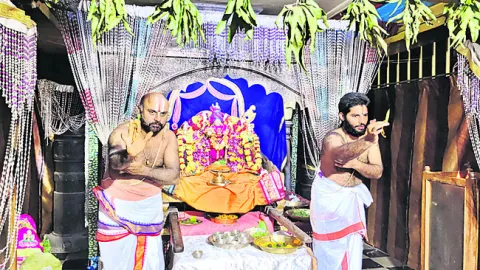 అప్పన్నకు విశేషంగా నిత్య కల్యాణం