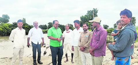 వన దు