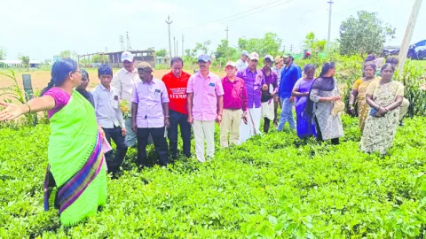 ప్రకృ