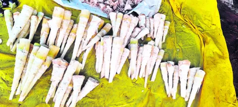 వెదుర