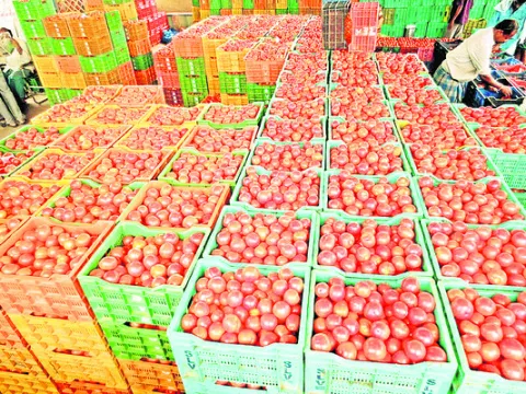 టమాటకు రెక్కలు! 