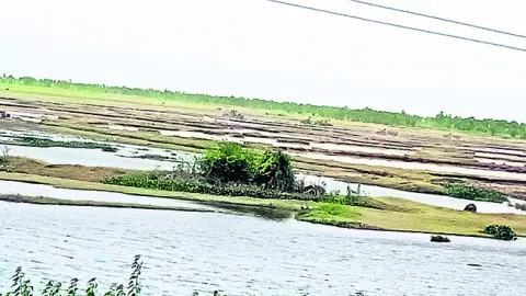 తమ్ముళ్ల గ్రావెల్‌ దందా 