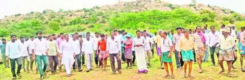 నిమ్మ