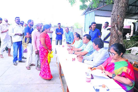 కోడెలను మంచిగా చూసుకోవాలి