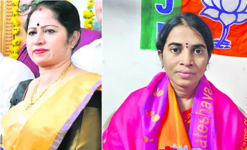 Internal Politics In Udayagiri