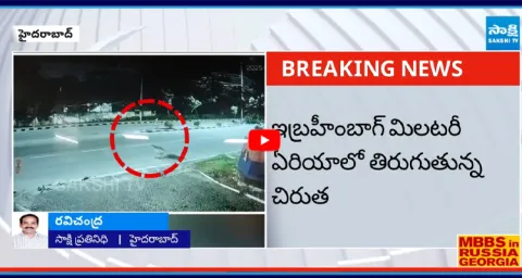 Leopard Roaming at Golconda Region Caught in CCTV Footage 1