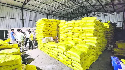 యూరియ