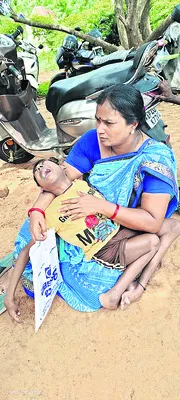 కలెక్టర్‌ కరుణించాలి.. 