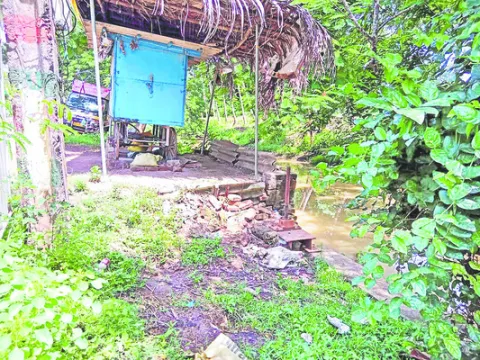 రెగ్య