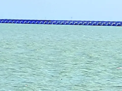 ఎస్సా