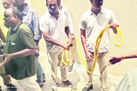 పరదాల