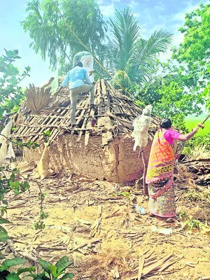వైఎస్